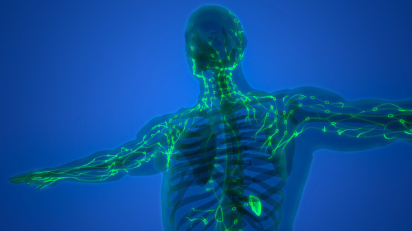 3D illustration of the upper body of a man with arms outstretched and a green network of immune system lymph nodes connected through lymph channels; dark blue background 